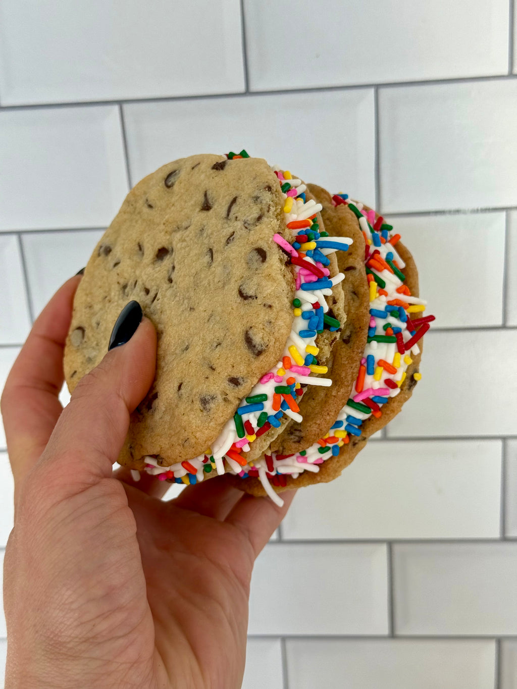 Over the Rainbow Sammie