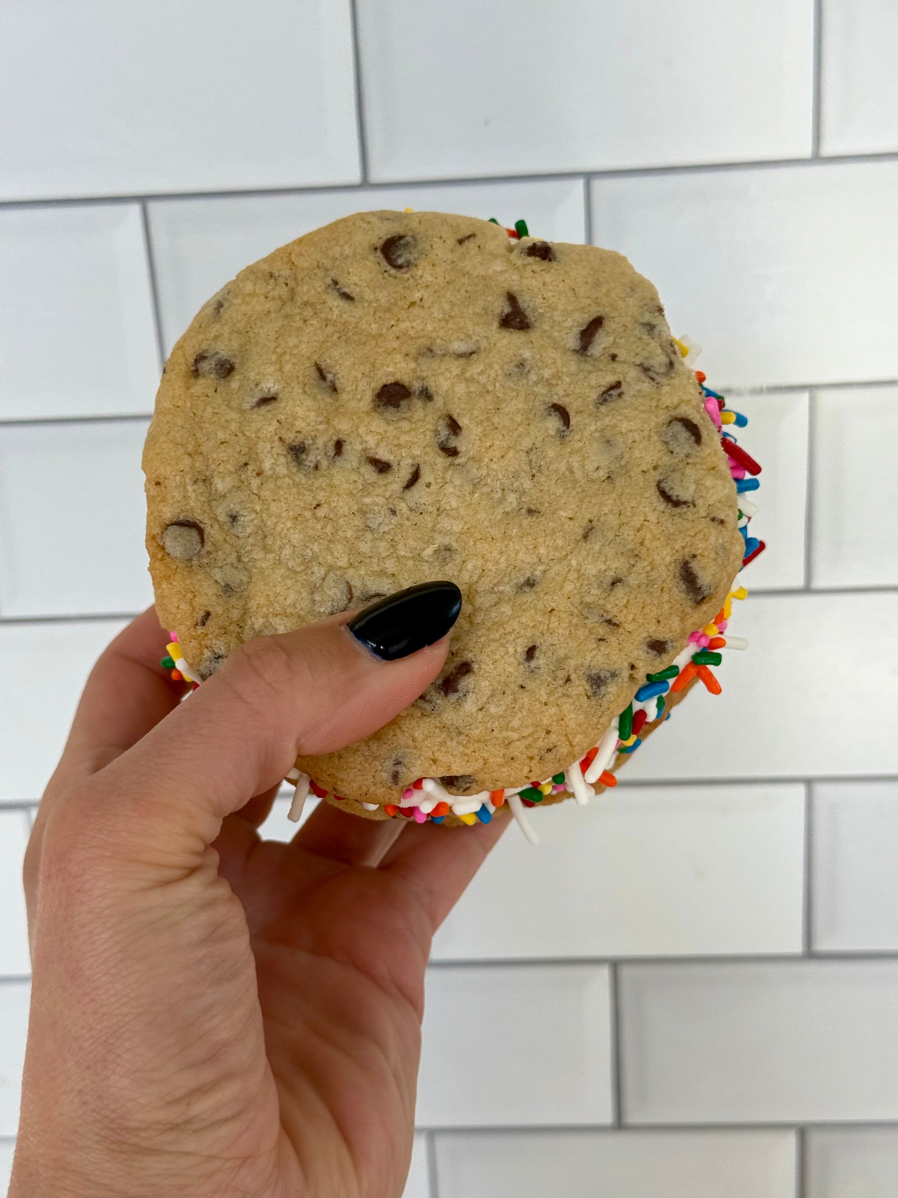 Over the Rainbow Sammie