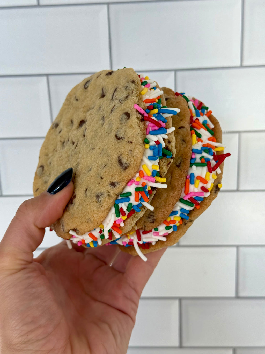 Over the Rainbow Sammie