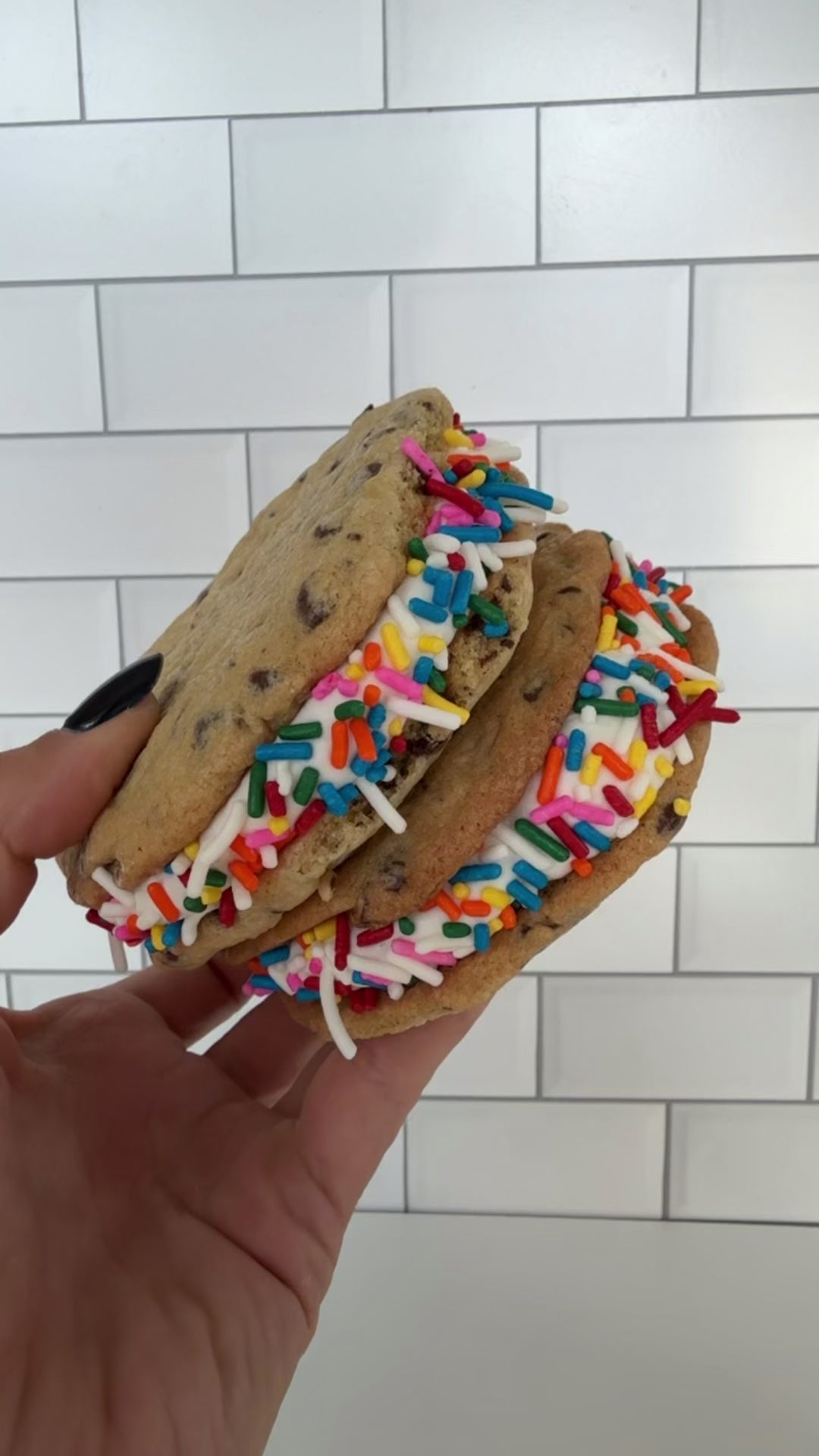 Over the Rainbow Sammie